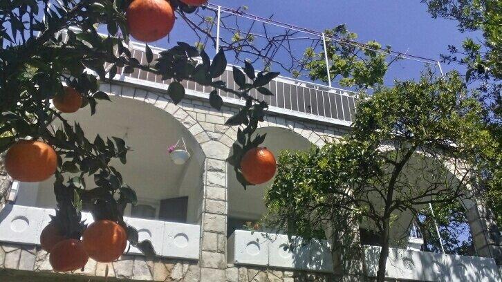 House Orange Apartments Herceg Novi Kültér fotó