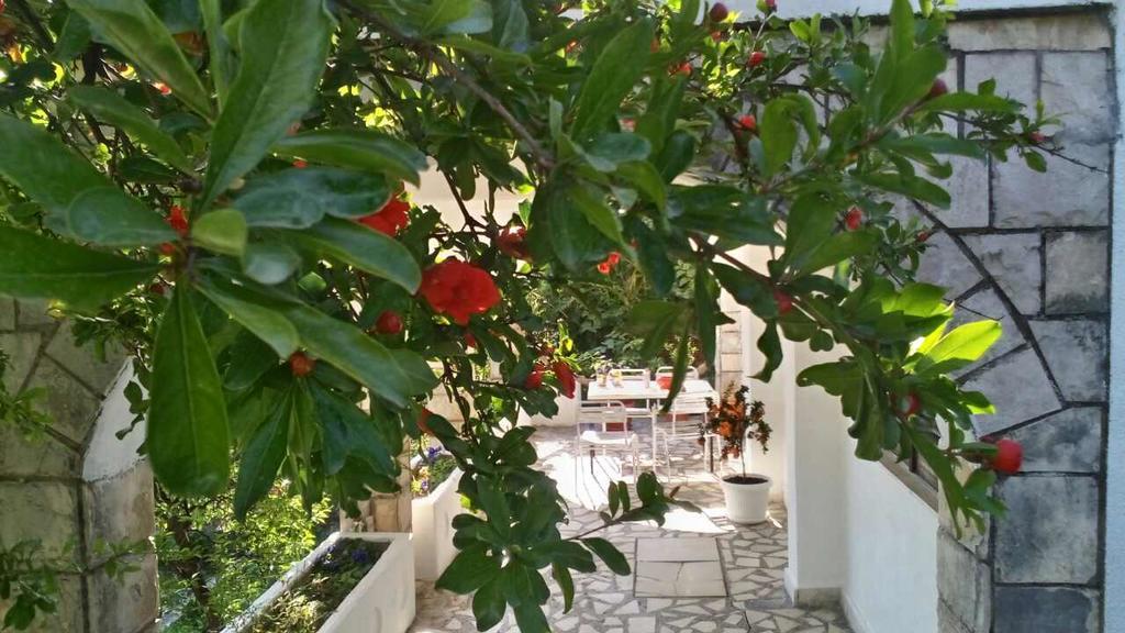 House Orange Apartments Herceg Novi Kültér fotó
